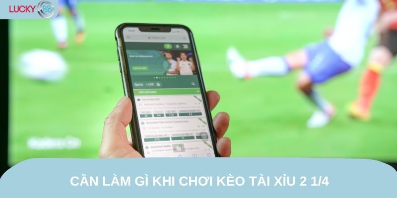 Cần làm gì khi chơi kèo tài xỉu 2 1/4